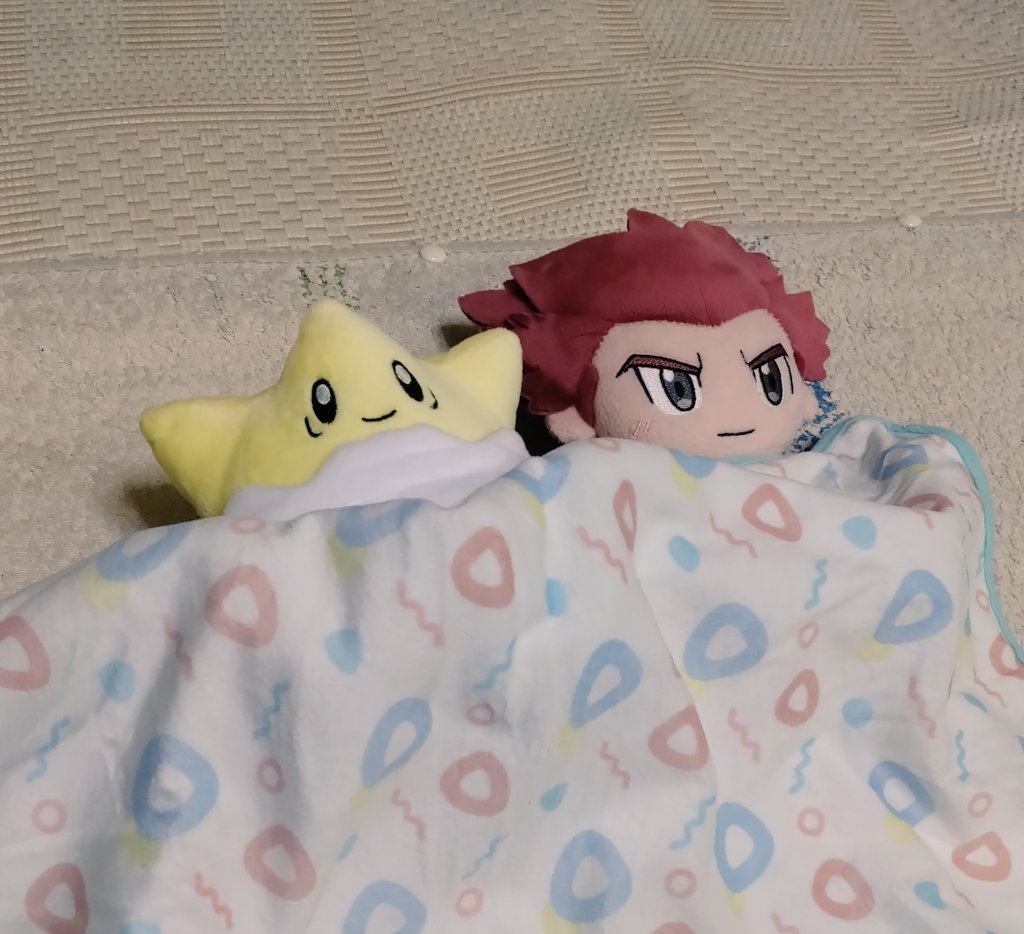shippomaki's tweet photo. https://t.co/L7J2lBO7UG