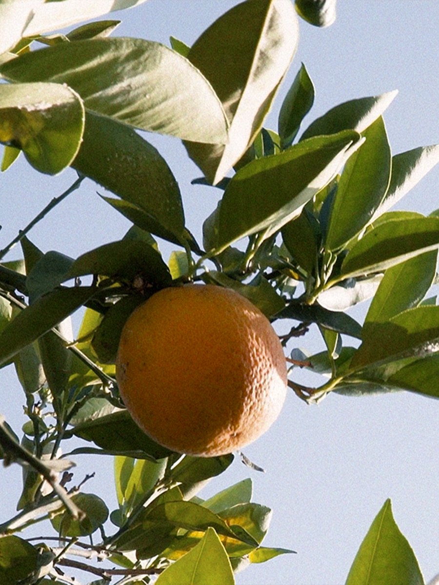 CD Castellón tweet media