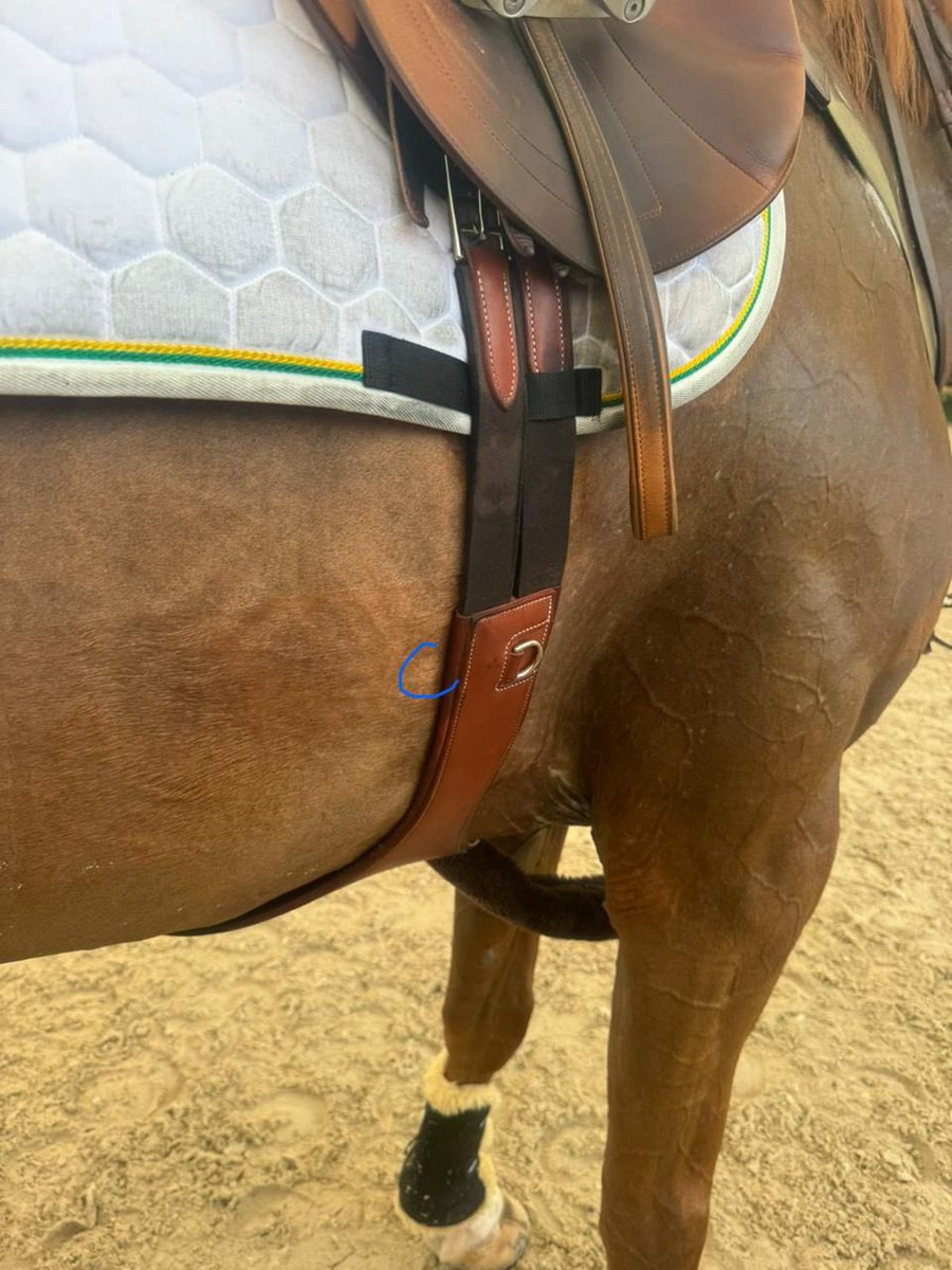 galinhadsaia's tweet image. Brasil no hipismo de salto em equipes foi desclassificado por isso aqui: 

e tá certo. tem que desclassificar mesmo.