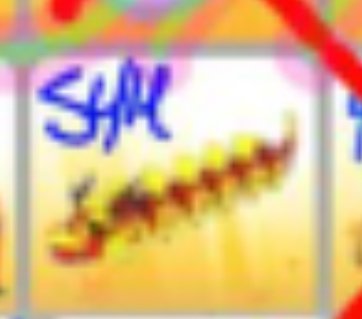 Mizzy🌷 tweet media