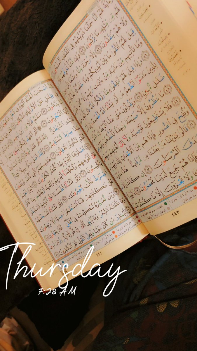 _UhktMinah's tweet photo. السلام عليكم 🧡 https://t.co/UZ1z01hSdp