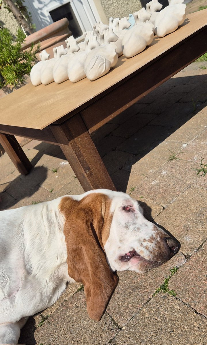 Jemma Millen Ceramics tweet media