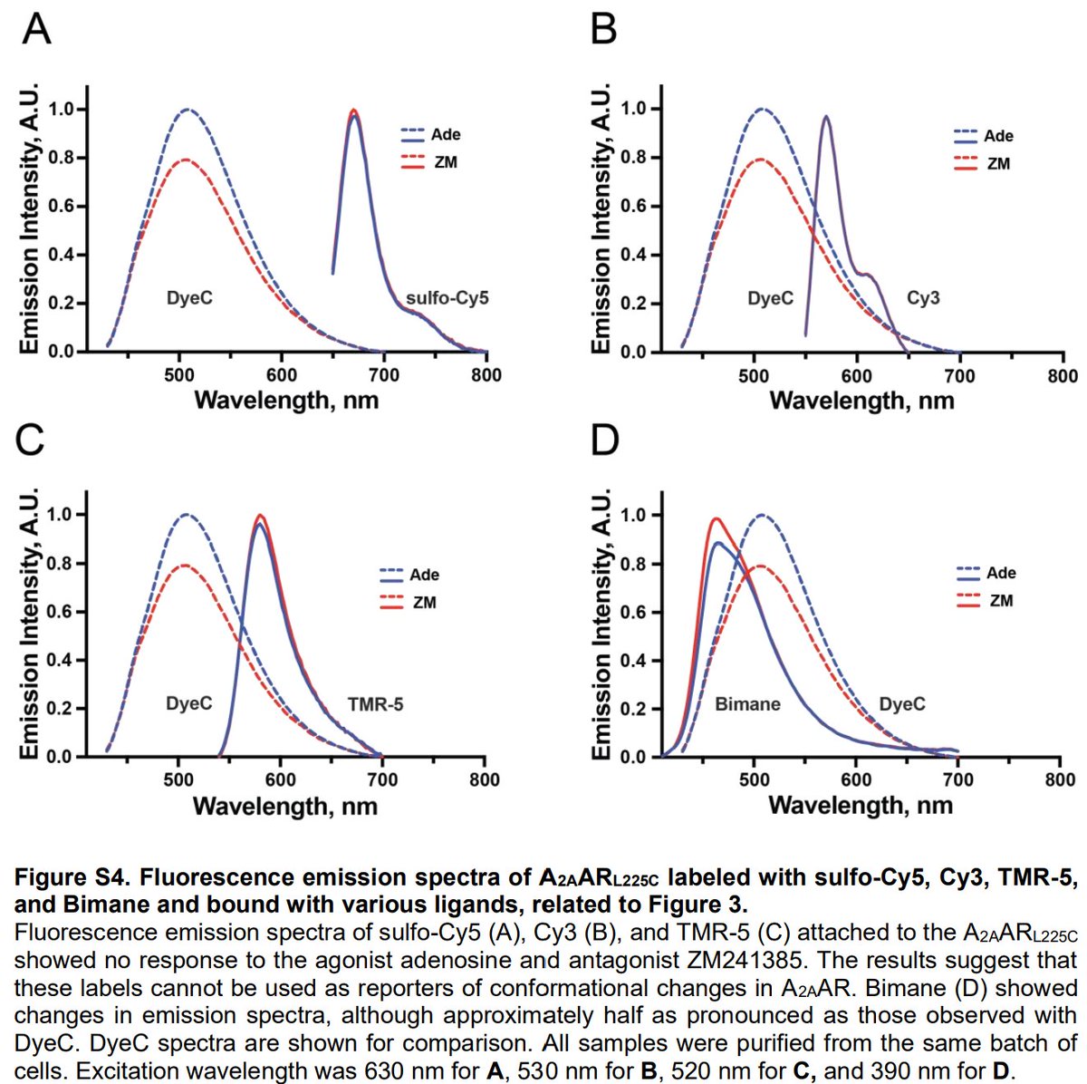 Ivan Maslov tweet media