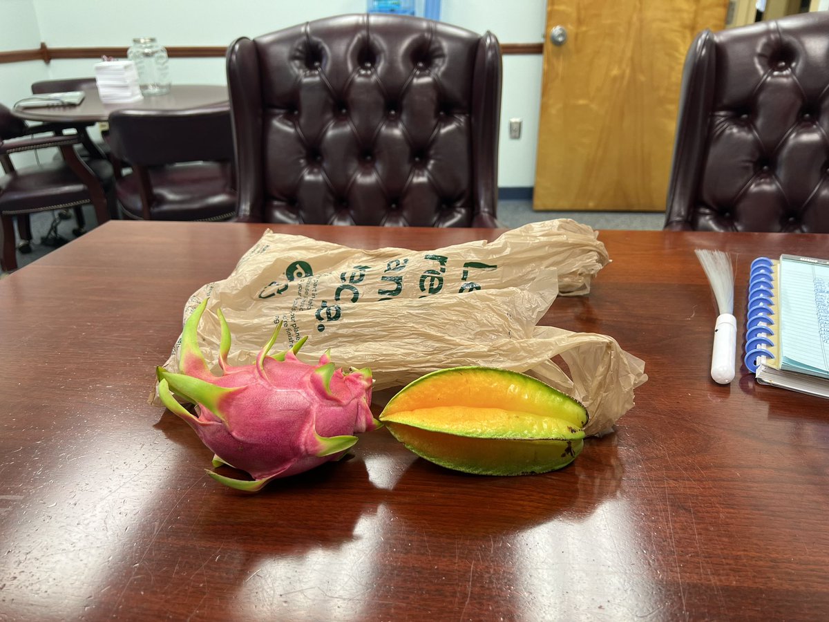 Tiffany Roth tweet media