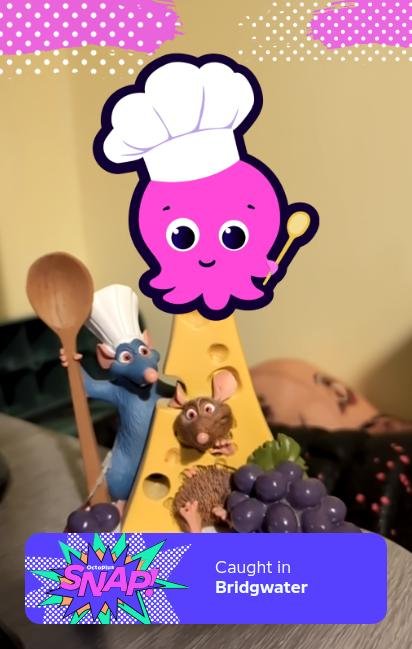 bethanyrdw's tweet photo. @OctopusEnergy I just caught Chef Constantine hanging out with his friends👩🏻‍🍳🐙 #OctoplusSNAP https://t.co/8yATlKcAUw