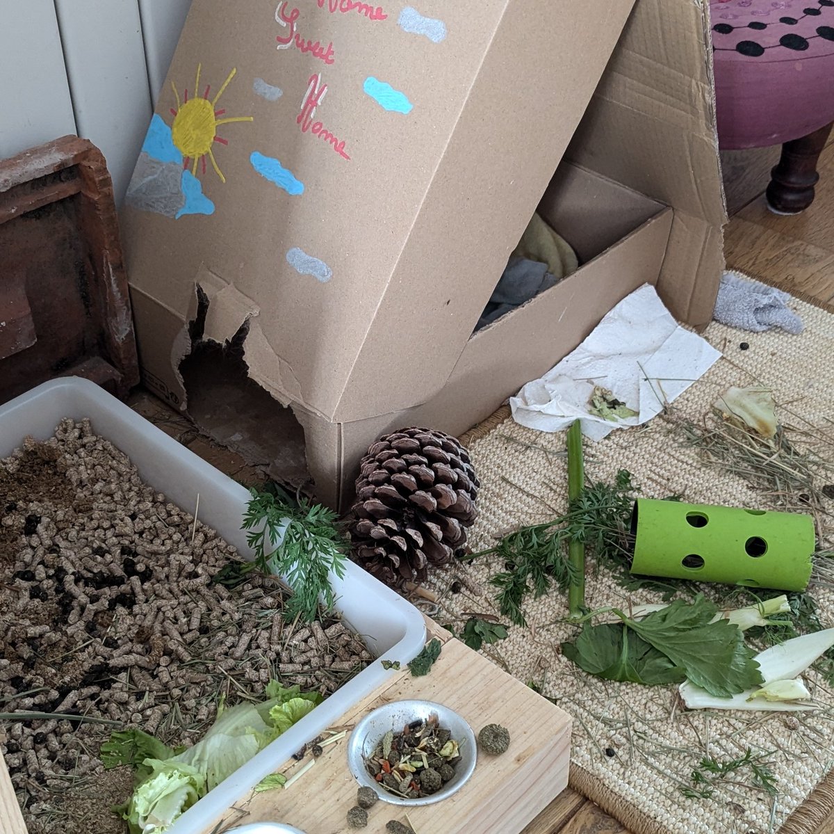 Marjolaine Koch tweet media