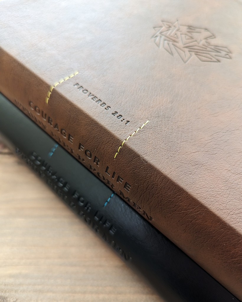 NLTverse's tweet image. Pastor Casey recently did a review and walkthrough for the Courage For Life Study Bible for Men and Courage For Life Study Bible for Women. Check it out to see what he has to say

Watch 📽️: l8r.it/rxGr

#NLTBible #CourageForLifeBible #StudyBible #BibleReview