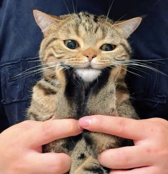 I'm getting the princess treatment I deserve. A lovely gentleman is currently out in the rain fetching