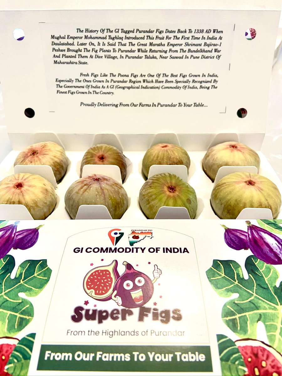 पुरंदरच्या शेतकऱ्यांसाठी हा अतिशय अभिमानाचा क्षण आहे...

पुरंदरच्या भूमीपुत्रांनी या मातीत पिकविलेल्या व जी आय टॅग असलेल्या अंजीराचा ज्युस युरोपातील पोलंड येथे प्रथमच निर्यात करण्यात येत आहे ही मोठी अभिमानाची बाब आहे. पुरंदर तालुक्यातील सिंगापूर येथे १८ एप्रिल २०२३ रोजी अंजीराचा