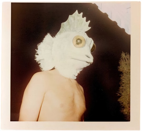 Καδμείος (@cadmiumyellow_) on Twitter photo 