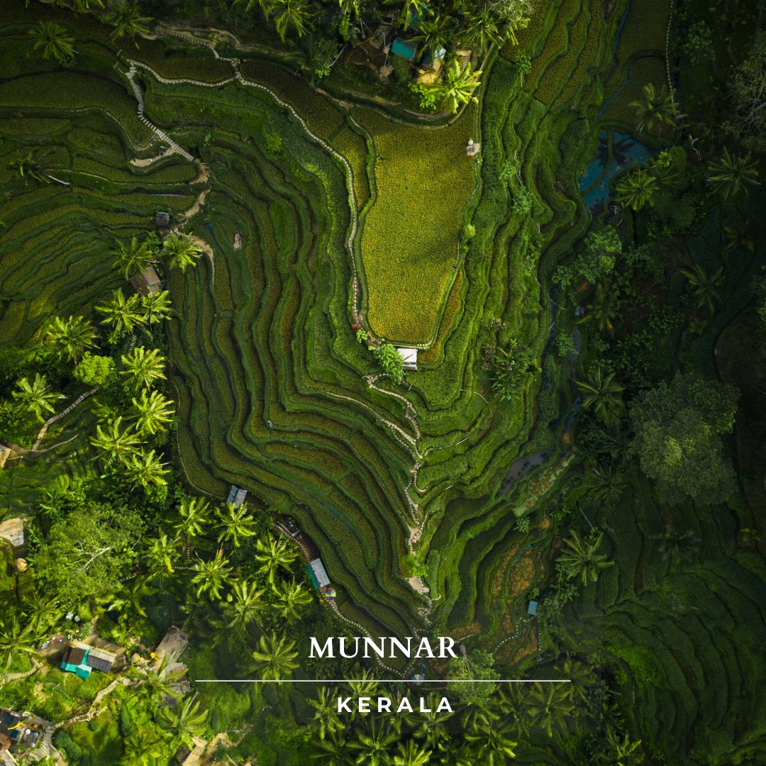 MyTourBox's tweet photo. Explore the beauty of Munnar with tea plantations, waterfalls, trekking, Kerala cuisine, sunsets at Pothamedu Viewpoint, Kundala Lake, and Eravikulam National Park.

#MyTourBox #Munnar #ExploreKerala  #IncredibleIndia

Book your tour at My Tour Box at info@mytourbox.com . https://t.co/mRHtaU077n