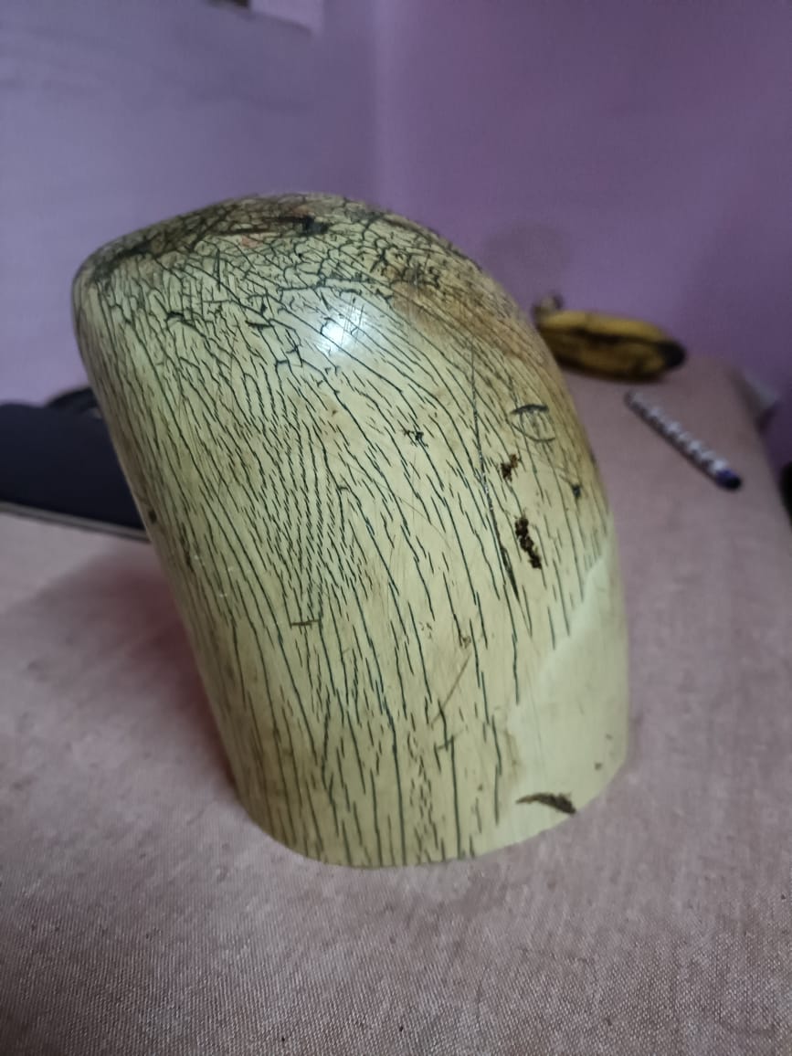 Wildlife Crime Control Bureau tweet media