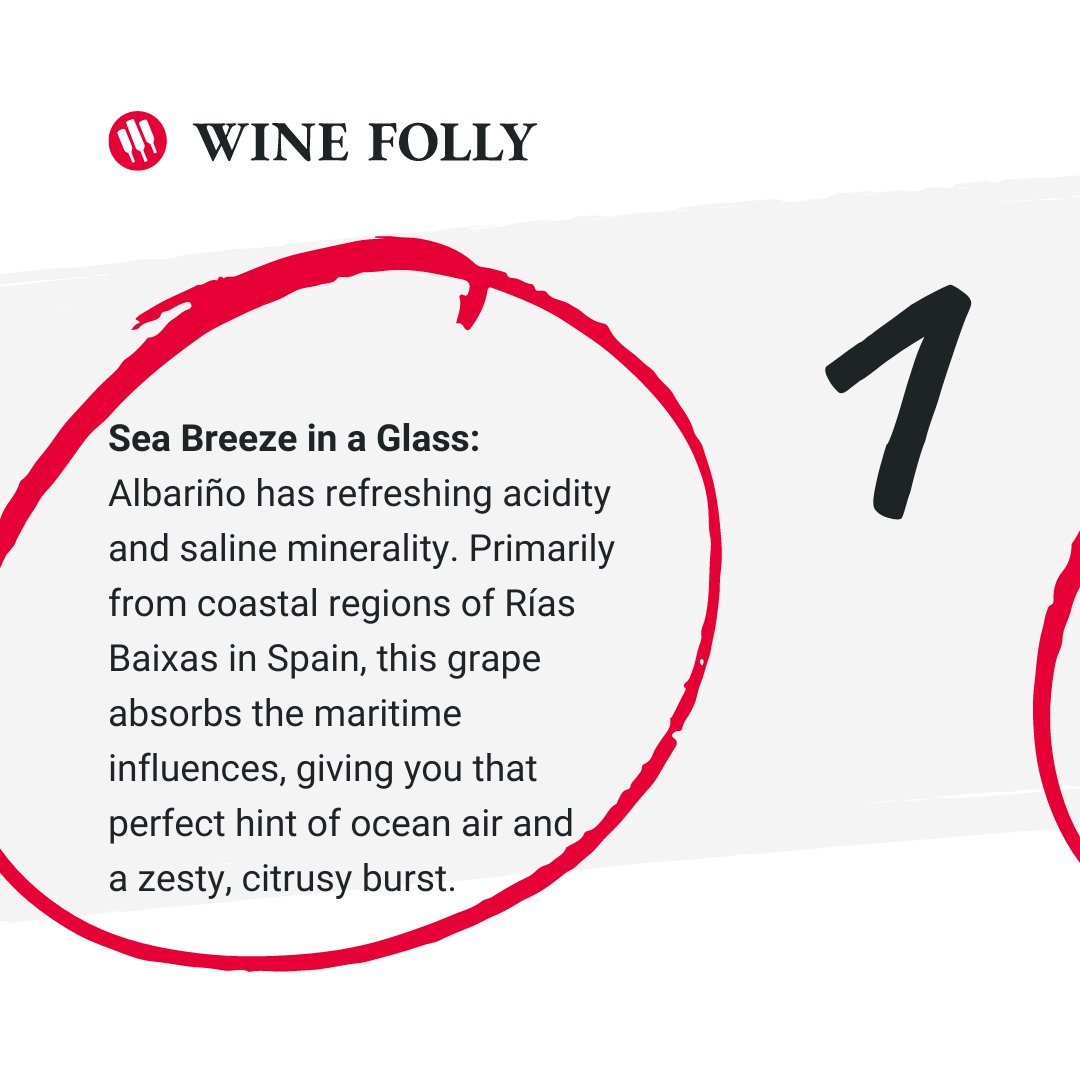 WineFolly's tweet image. 🍇 Mouthwatering and refreshing, swipe for three things you should know about Albariño. Learn more → winefolly.com/grapes/albarin…

Have you tried Albariño?

#albariño #wine