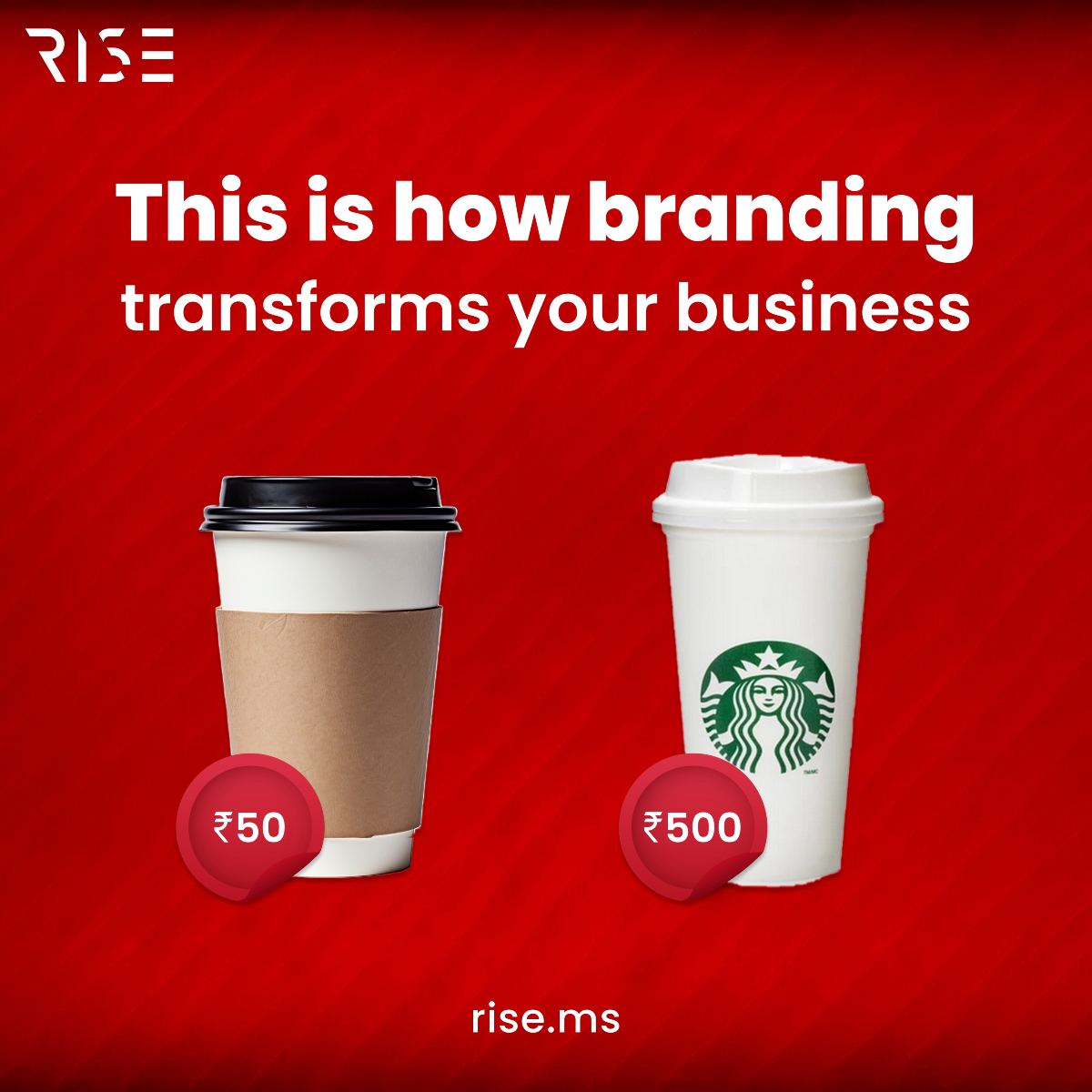 Rise Marketing tweet media