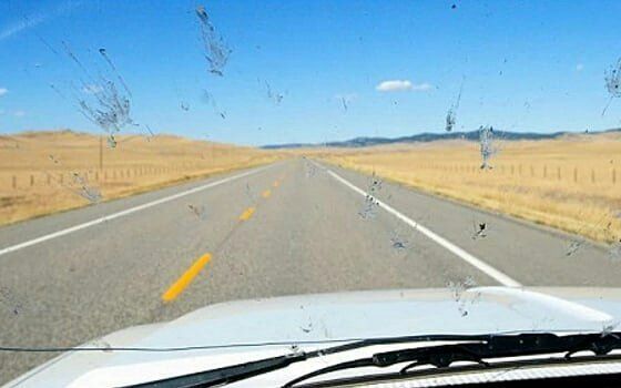 Rainmaker1973's tweet photo. If you're old enough, you may recall that 20 years ago or more, you used to see many more dead insects on your car's windshield, while today you see almost none.

This is called the Windshield Phenomenon.

In the first years 2000s it became a commonplace observation among drivers that after a long drive, windshields no longer had to be cleaned of numerous insects. 

It was basically born as a meme, but in 2016, naturalist John Acorn noted that the phenomenon had real and objective proofs. 

Since 2017, major publications and media covered the topic of reductions in insect abundance over the last few decades and entomologists linked this withthe fact they no longer had to frequently clean their windshields.

It turned out that a meme was aware of a proved trend.

A 20-year study measured the number of dead insects on car windshields on two stretches of road in Denmark from 1997 until 2017. Adjusted for variables such as time of day, date, temperature, and wind speed, the research actually found an 80% decline in insects. 

Several factors are thought to contribute to the declining insect populations.

The expansion of human settlements, agriculture, and infrastructure has led to the destruction and fragmentation of natural habitats, essential for insect survival and reproduction.

The widespread use of pesticides in agriculture and urban areas has had a devastating impact on insect populations, directly killing insects and indirectly harming their food sources.

Rising global temperatures and extreme weather events are disrupting insect life cycles and altering their habitats, leading to population declines and even extinctions.

Artificial light at night can disrupt insect navigation and foraging patterns, reducing their reproductive success and overall survival.

The introduction of non-native insect species can disrupt ecological balances and compete with native insects for resources, further contributing to their decline.

One can still consider the trend and the effect as anecdotal, but the studies conducted created a connection between the global redutction of insects species and what people of a certain age can actually confirm as something more than a simple perception.