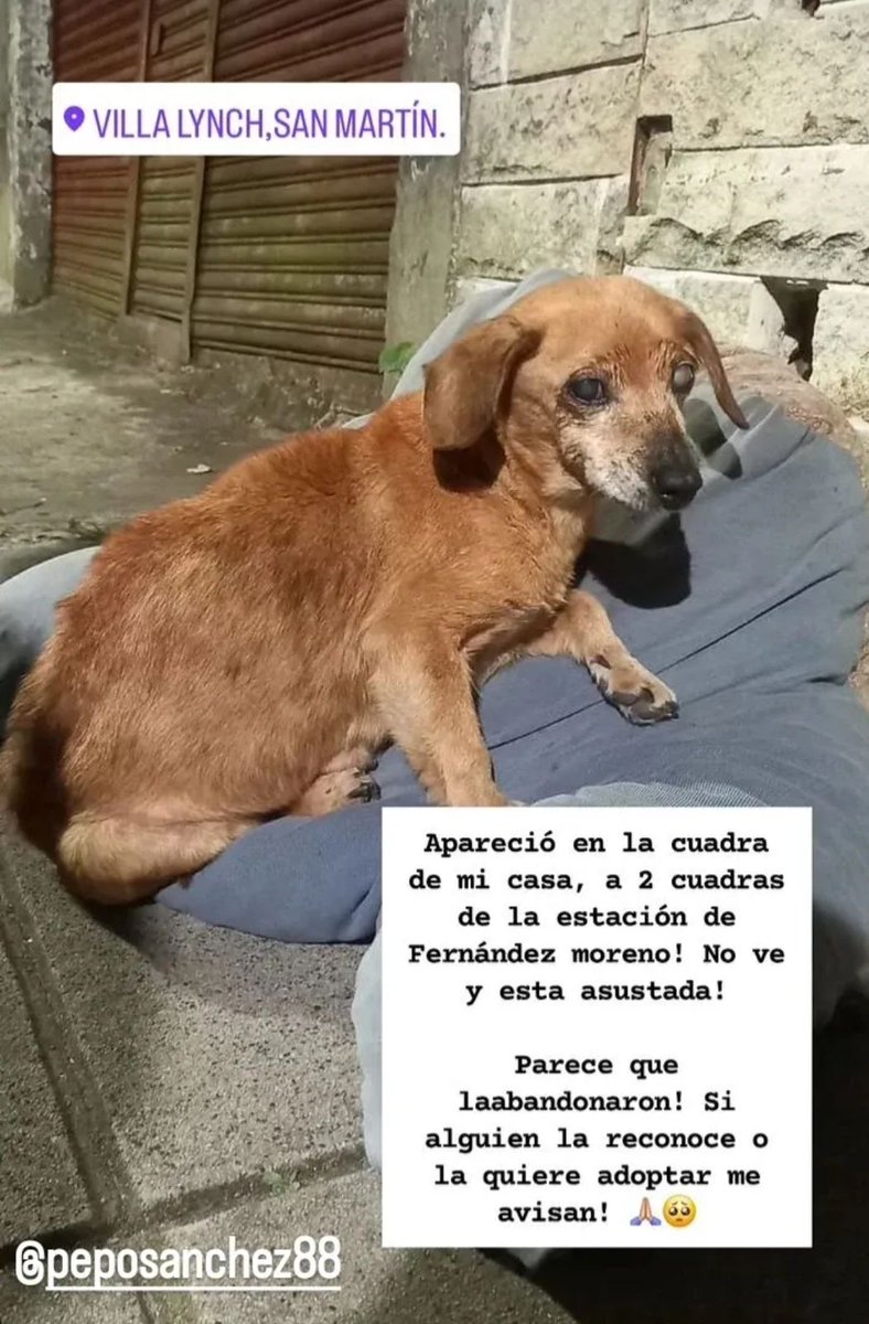 Difundimos