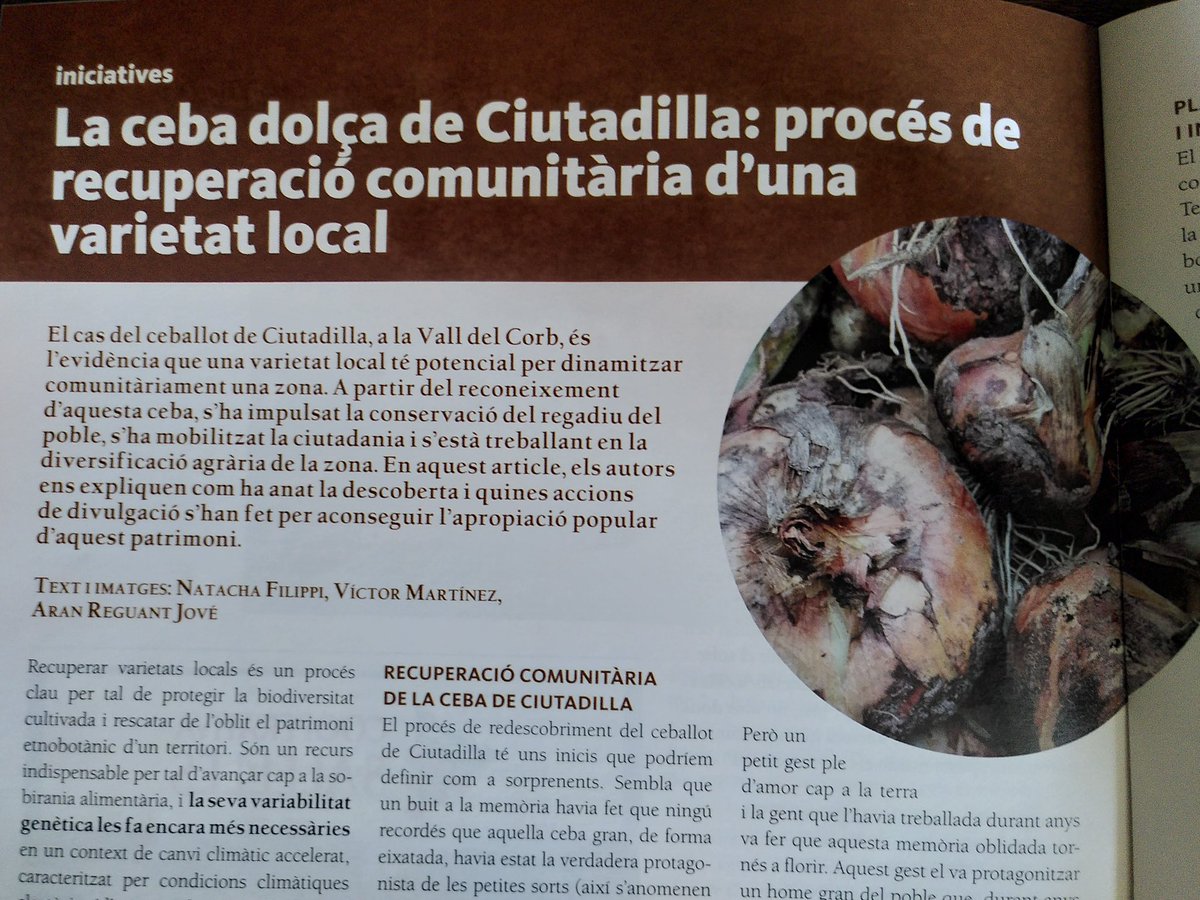 Territori de Vincles tweet media