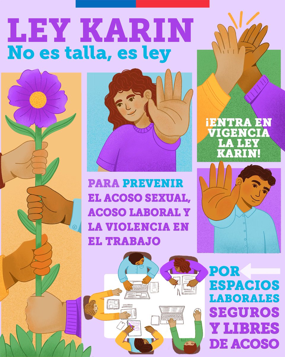 Con la #LeyKarin avanzamos en espacios laborales seguros y libres de acoso, para que ir a trabajar no sea motivo de angustia en ningún caso. La #LeyKarin no es talla, es ley.  

Más información en Leykarinparachile.cl 💻