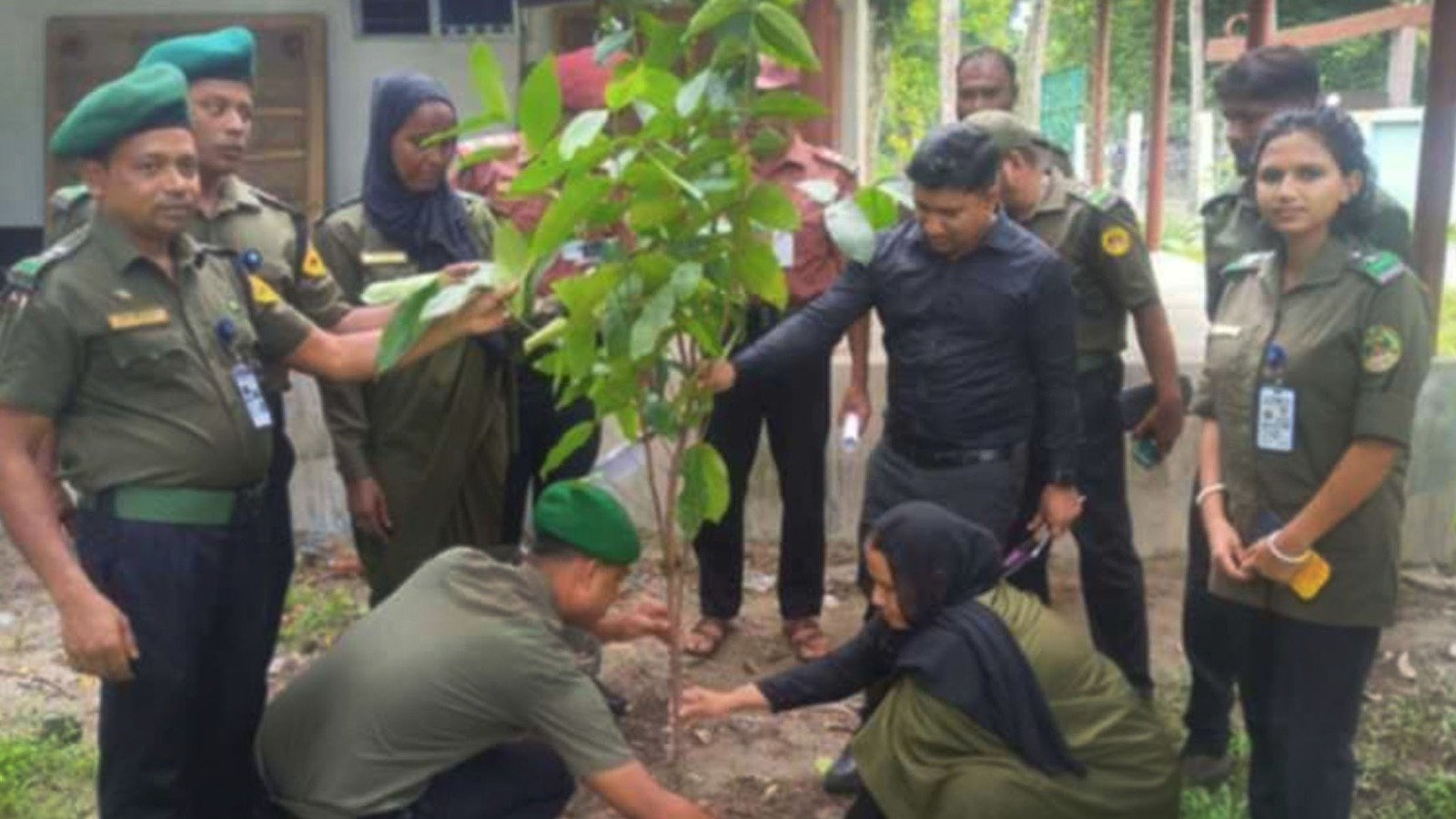 দেবহাটায় আনসার ভিডিপি’র বৃক্ষ রোপন