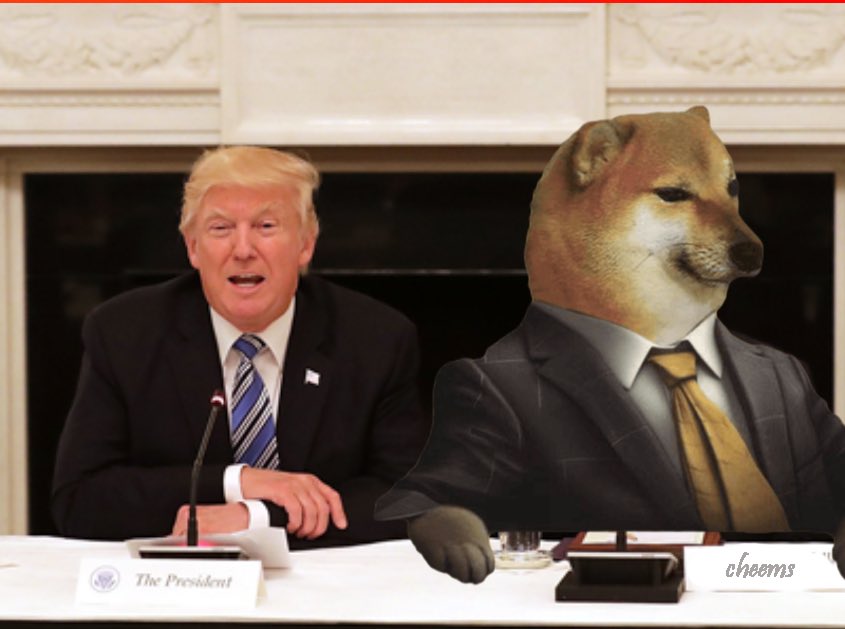 Cheems (@lordcheems_bsc) on Twitter photo Let's meet Lord Cheems' old friend, President <a href="/realDonaldTrump/">Donald J. Trump</a>.
We are excited to announce a contest for a chance to win a mega $Cheems prize!
7 Days to Join:
1⃣ Follow <a href="/LordCheems_ZK/">LordCheems_ZK</a>
2⃣ Create a meme featuring Lord Cheems and Mr. Trump
3⃣ Like and RT this post Let's meet Lord Cheems' old friend, President <a href="/realDonaldTrump/">Donald J. Trump</a>.
We are excited to announce a contest for a chance to win a mega $Cheems prize!
7 Days to Join:
1⃣ Follow <a href="/LordCheems_ZK/">LordCheems_ZK</a>
2⃣ Create a meme featuring Lord Cheems and Mr. Trump
3⃣ Like and RT this post
