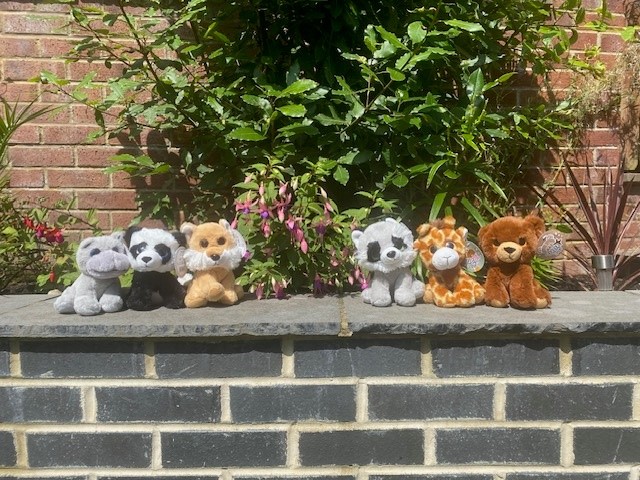 Say hello to our new friends - these furry animals will soon be going on visits with our young people and their IV's and reporting back on all the fun they have had. #LIVSfriends  #watchthisspace <a href="/Child_Leeds/">Child Friendly Leeds</a>