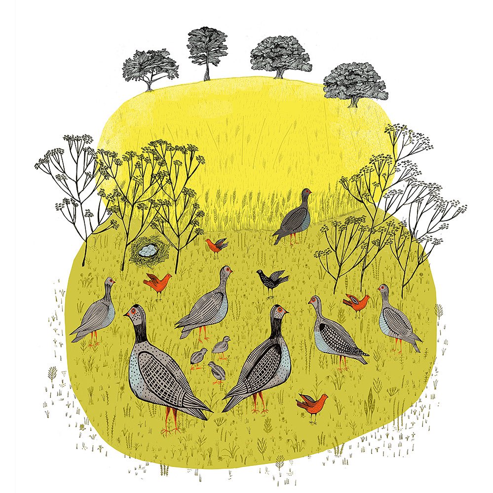 Lush Designs tweet media