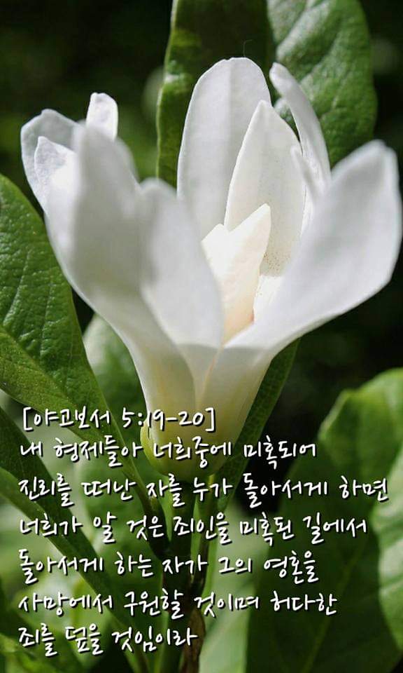 [야고보서 5:19] 내 형제들아 너희 중에 미혹되어 진리를 떠난 자를 누가 돌아서게 하면
[야고보서 5:20] 너희가 알 것은 죄인을 미혹된 길에서 돌아서게 하는 자가 그의 영혼을 사망에서 구원할 것이며 허다한 죄를 덮을 것임이라