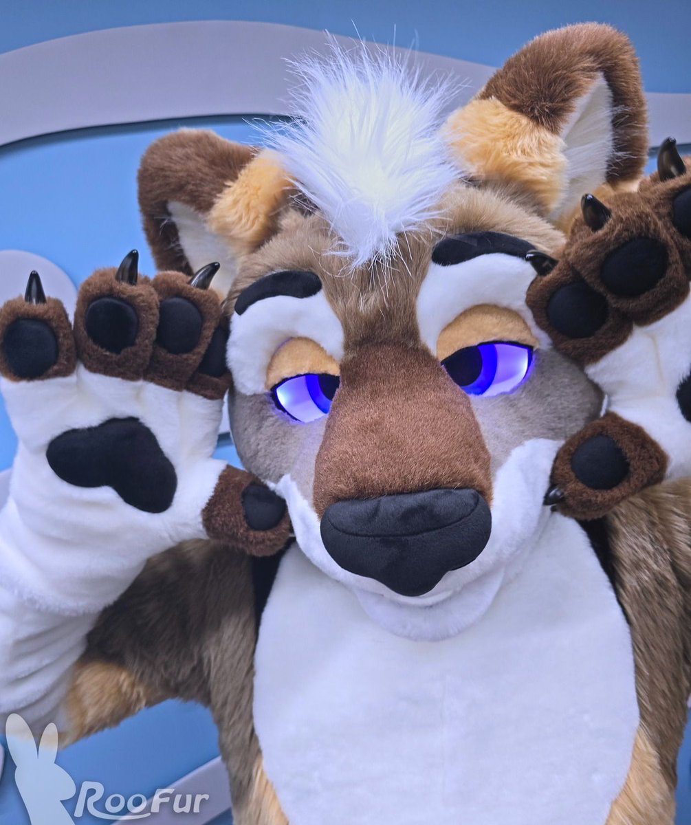 NomadTheWolf (@nomadthewolf) on Twitter photo Allow myself to introduce...myself~
Welcome everyone to Nomad! A wonderful Fursuit made by <a href="/Roofur/">Roofur Suits</a> I am so excited to share him with everyone! More pics will follow in the coming months. Till then, enjoy <3
roofur.com/gallery-Nomad Allow myself to introduce...myself~
Welcome everyone to Nomad! A wonderful Fursuit made by <a href="/Roofur/">Roofur Suits</a> I am so excited to share him with everyone! More pics will follow in the coming months. Till then, enjoy <3
roofur.com/gallery-Nomad