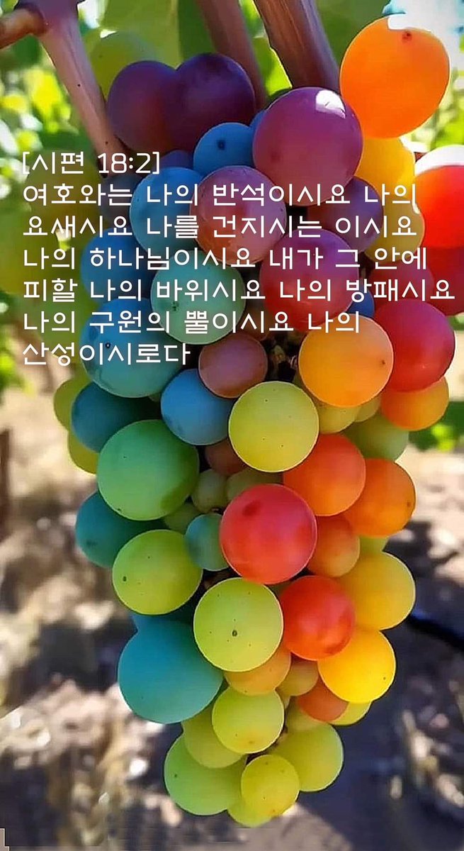 [시편 18:2]  여호와는 나의 반석이시요 나의 요새시요 나를 건지시는 이시요 나의 하나님이시요 내가 그 안에 피할 나의 바위시요 나의 방패시요 나의 구원의 뿔이시요 나의 산성이시로다