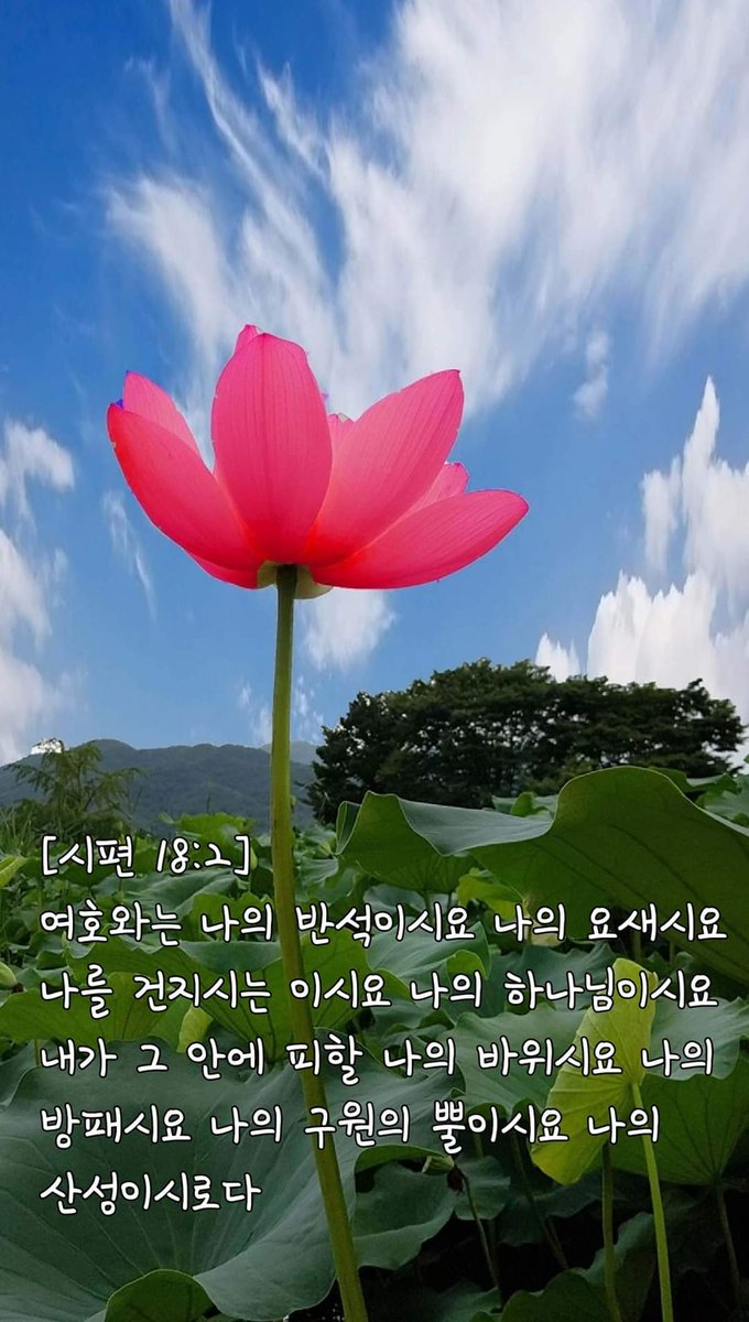 [시편 18:2]  여호와는 나의 반석이시요 나의 요새시요 나를 건지시는 이시요 나의 하나님이시요 내가 그 안에 피할 나의 바위시요 나의 방패시요 나의 구원의 뿔이시요 나의 산성이시로다