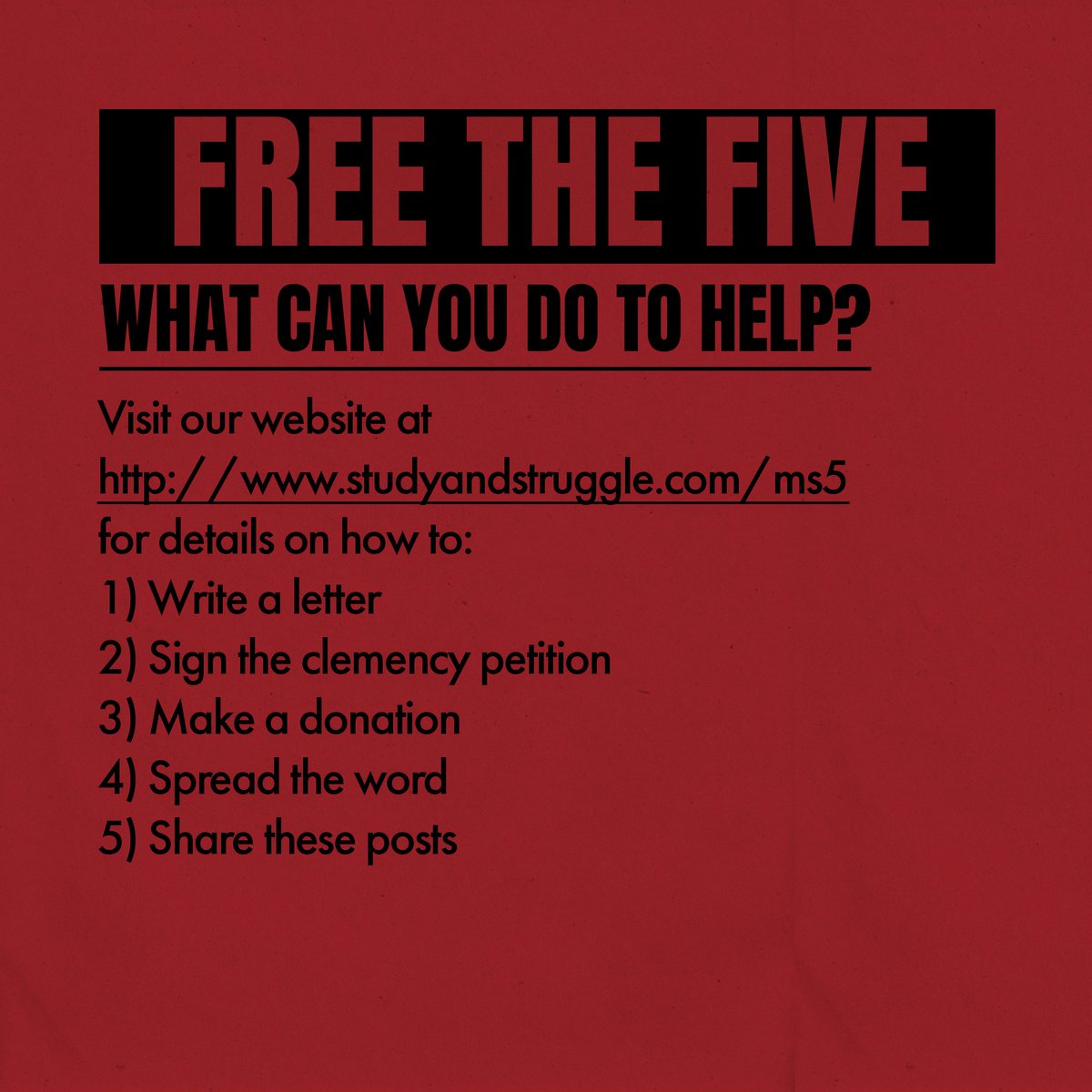 Study and Struggle tweet media