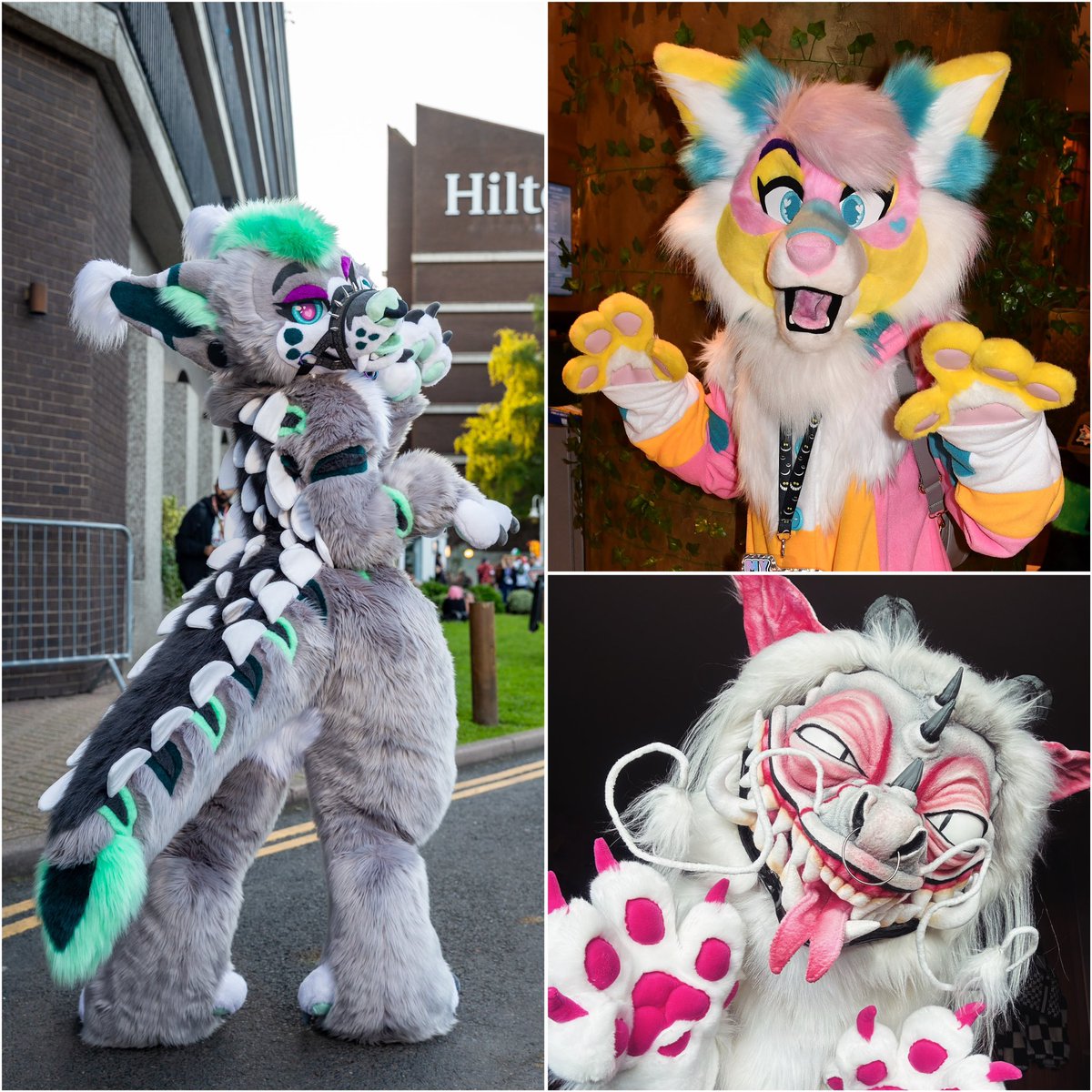 UAddictionz's tweet image. ✨ABOUT ME✨

💕23💕🇬🇧 🖤She/They🖤

Artist/Content Maker From the UK! 🇬🇧

🐊🖤Echo Lydodile 🖤🐊
🧁💖Madoka coyote💖🧁
🐲✨ Jabs Chinese Dragon✨🐲

Social media- Insta/Tiktok @/Unlisted_Addictionz 💕✨