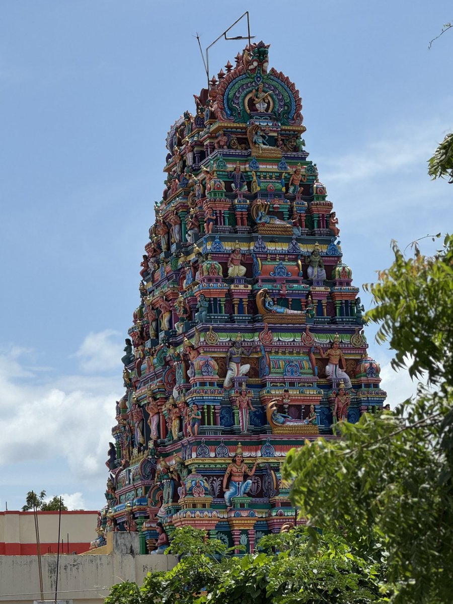 prasannasanthi's tweet photo. @DailyPicTheme2 #DailyPictureTheme #FavoritePictureFromJuly https://t.co/CwuoXWP4Rl