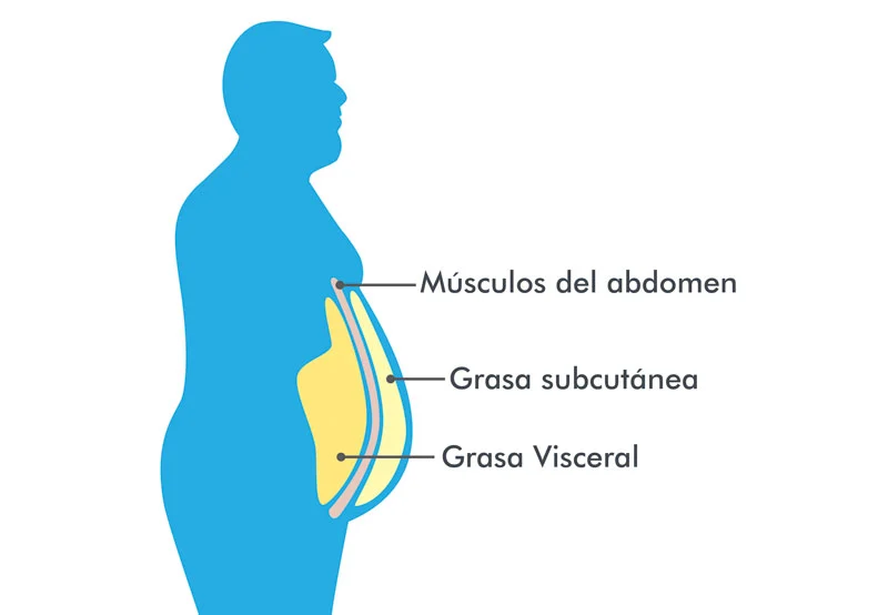 Perder grasa localizada no se puede.

Olvida el ejercicio mágico que quema grasa abdominal.

Te dejo 6 pasos reales para perder grasa en general (y abdominal):