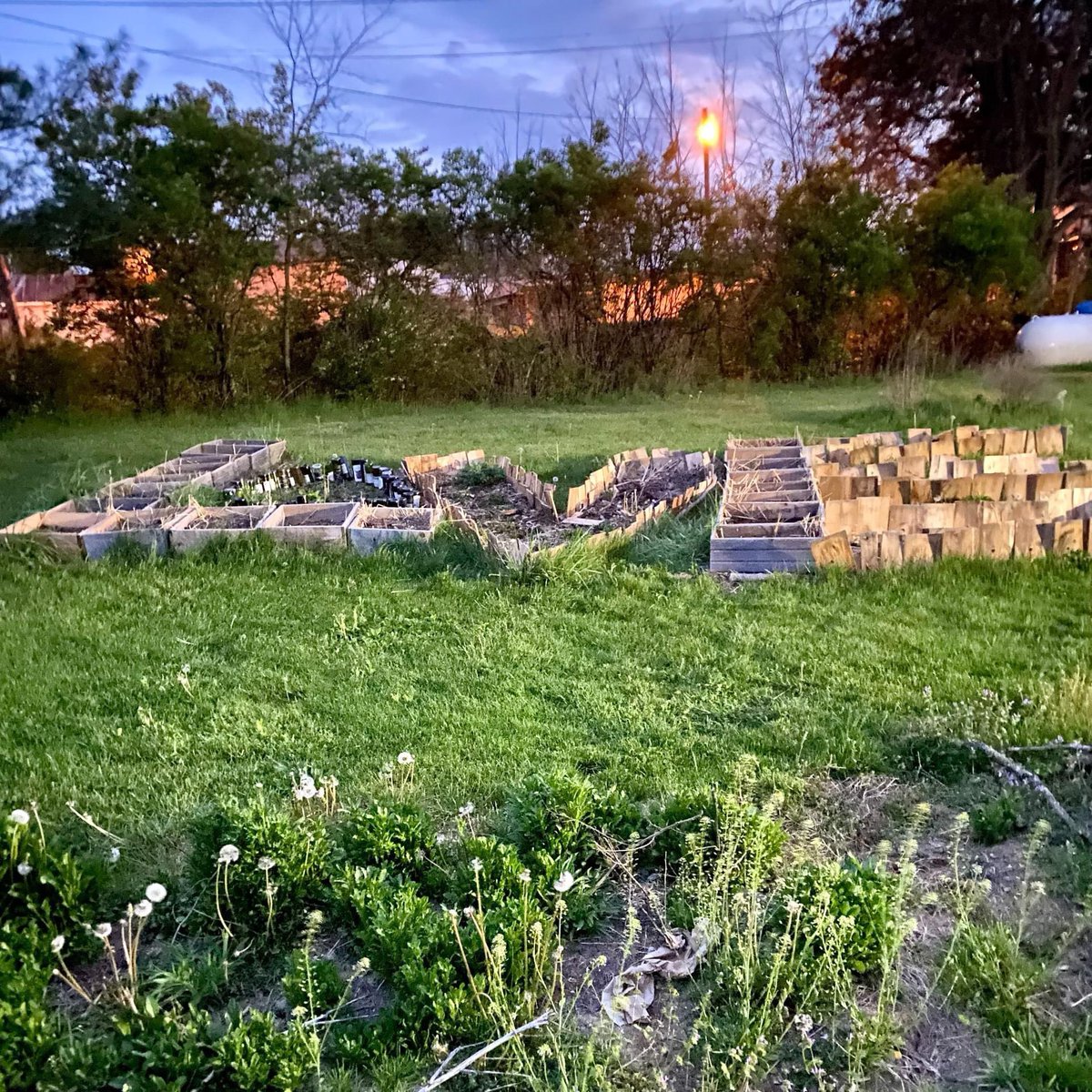 Introducing Loving Farm, a woman-owned flower farm in Fleming County!

You can follow Loving Farm on Instagram (@loving_farm) and check out their website here: Loving-farm.com.

#KYGrownCutFlowers #KYGrownCutFlowerMonth #KYFlowerFarmer #LocalFlowers #farmerflorist