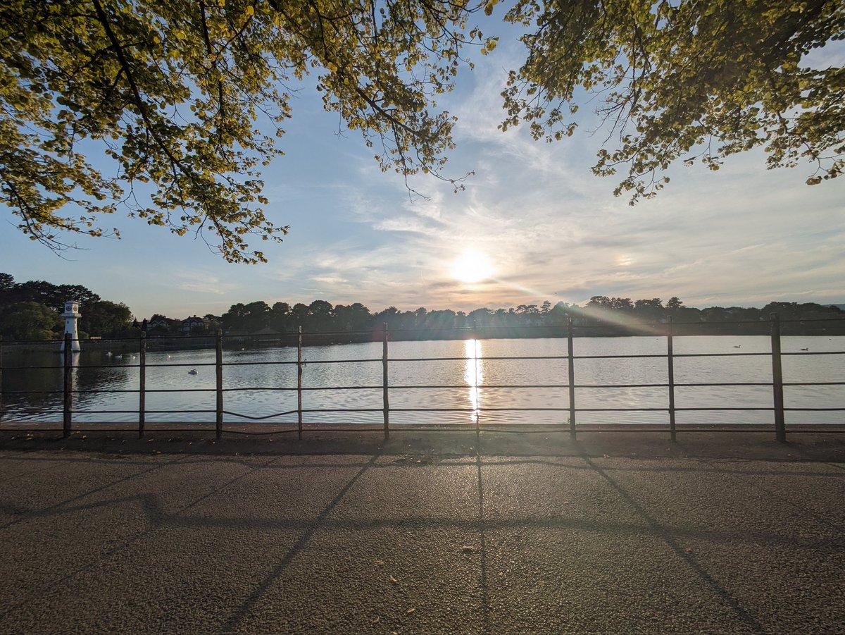 Sam Lewis tweet media