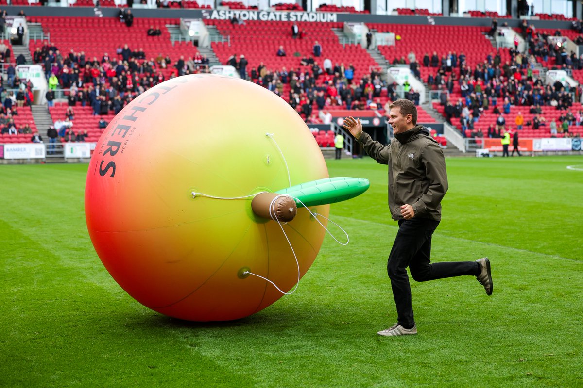 Bristol City FC tweet media