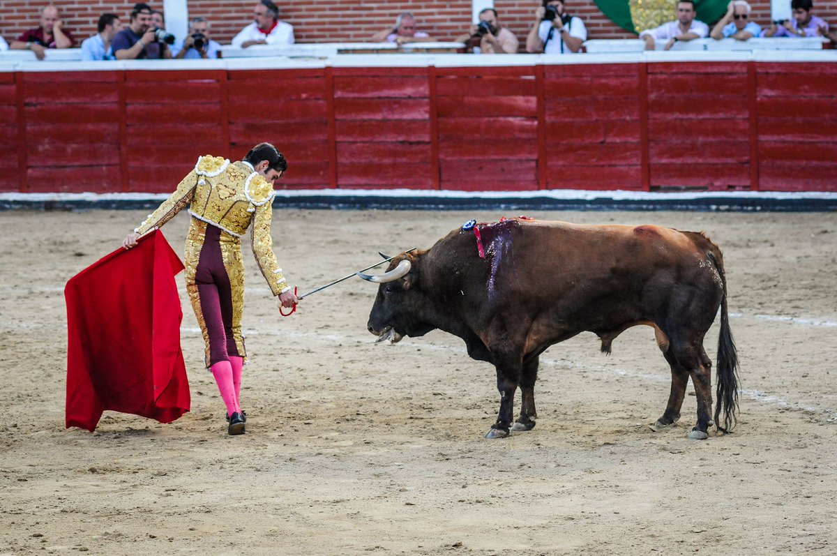 🚨 Take Action: Stand Against Bullfighting! 🚨

Thank you for your amazing support on our recent post. Now, join Fr Terry Martin in the fight against animal cruelty!

✍️ Petition: secure.peta.org.uk/page/132061/pe…

🙏 Let's protect God's creation.
#EndBullfighting #AnimalRights <a href="/PETAUK/">PETA UK</a>
