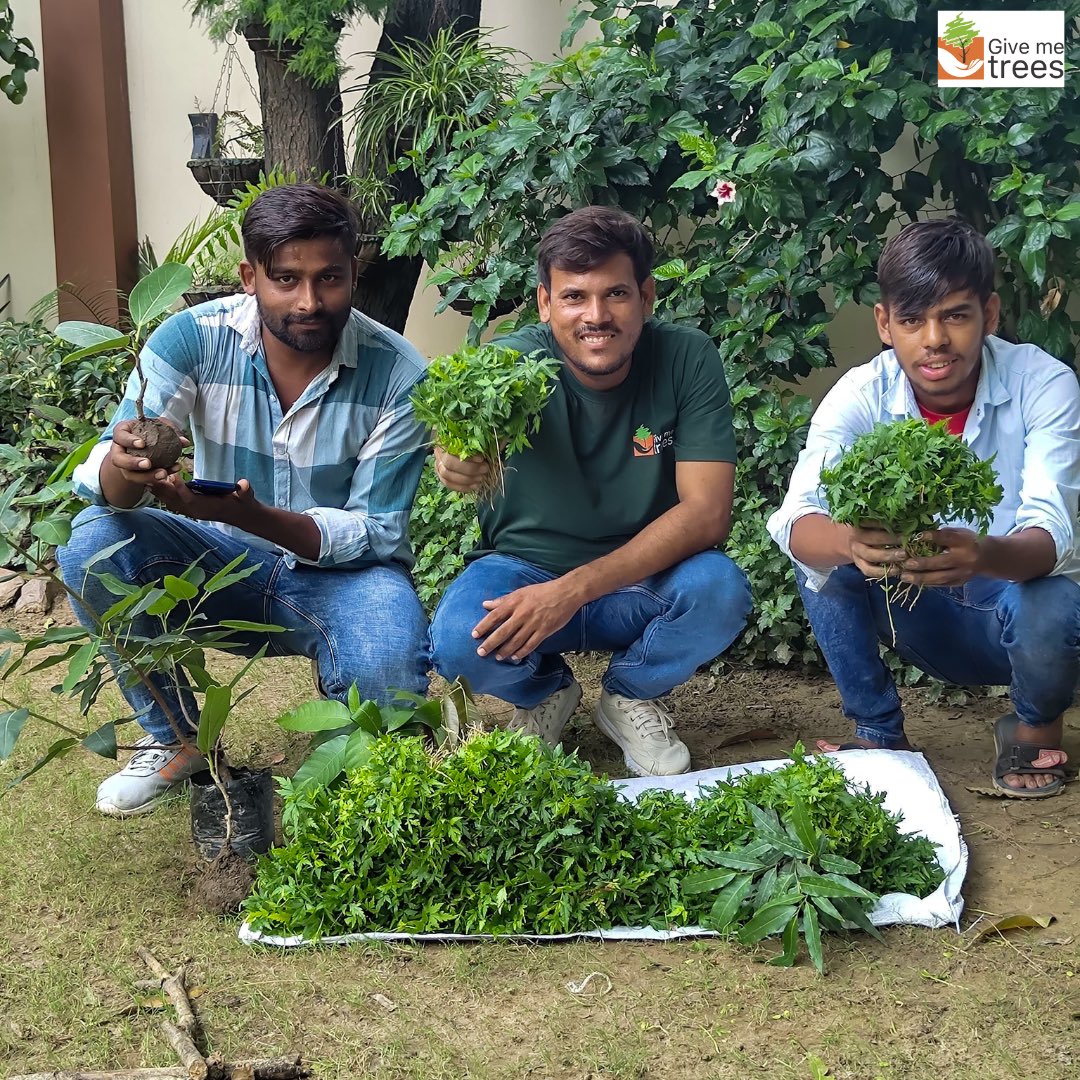 Give Me Trees Trust tweet media