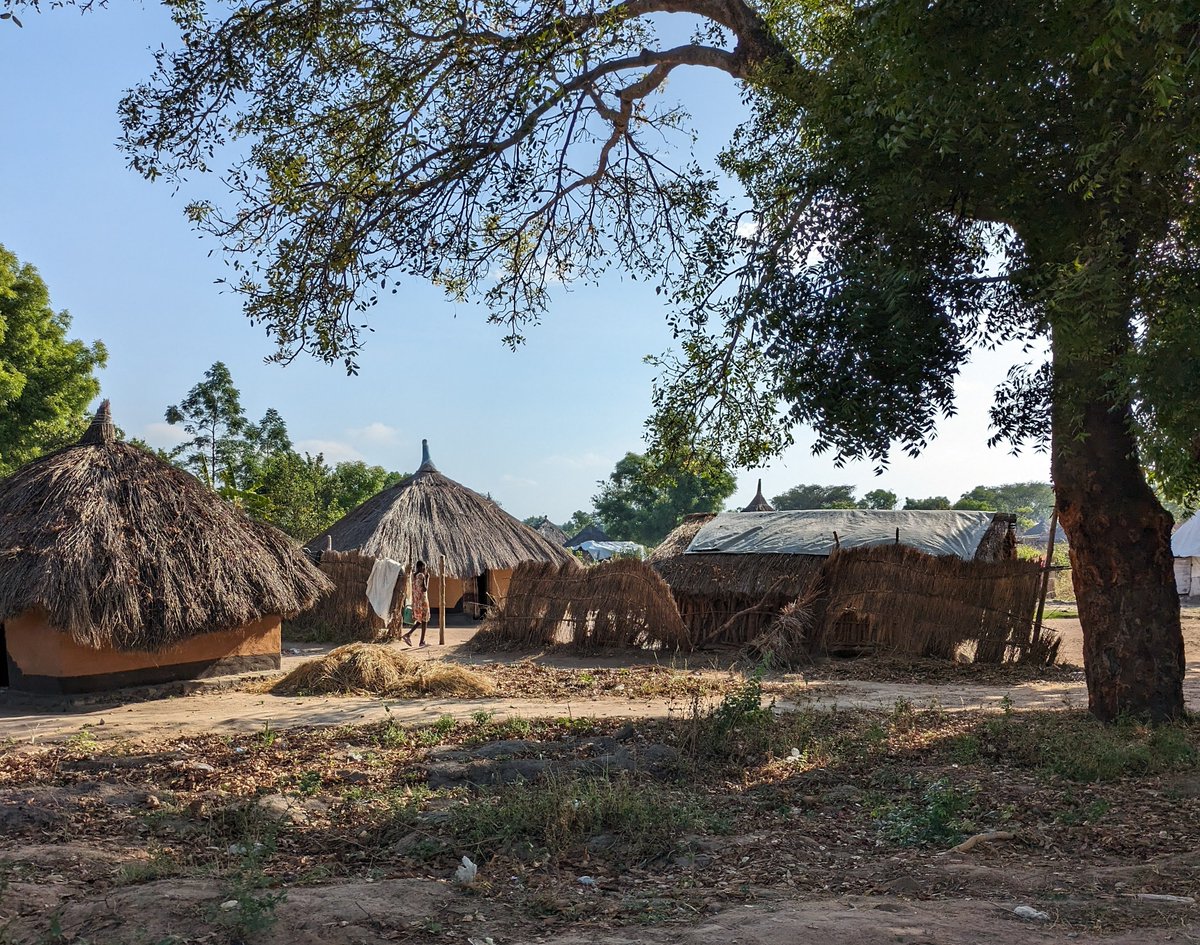 New COMPAS blog piece👇

Uganda is often presented as a success story in the world of refugee management. But what impact has recent ration cuts had on parts of the country?

📜We are delighted to share this article written by experts Eirin Haugseth <a href="/Eirinapekatt/">Eirin Haugseth</a>, <a href="/PRIOresearch/">PRIO</a>