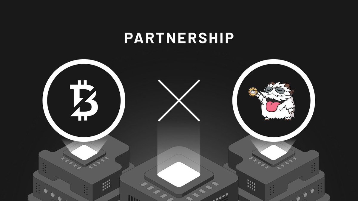 notbitcoin tweet media