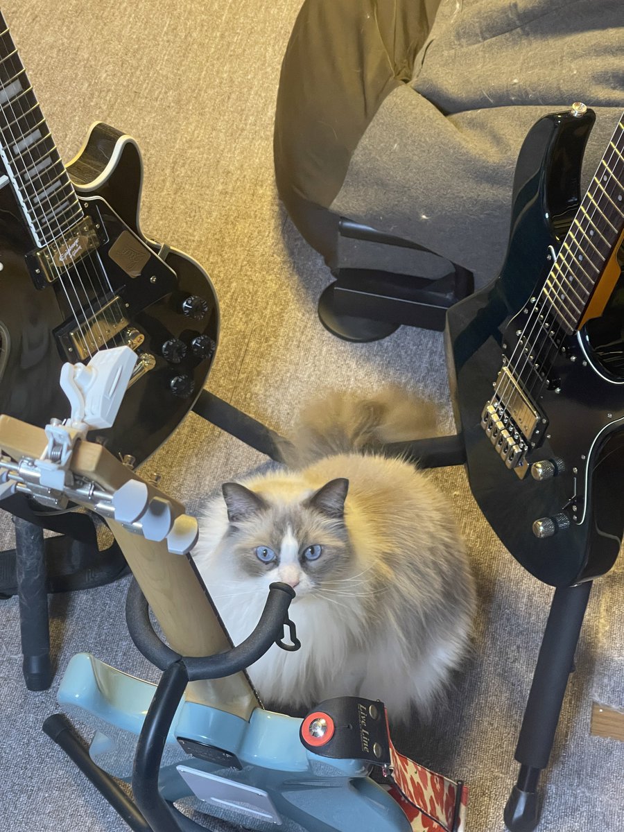 自転車少年シンヤ君 tweet media