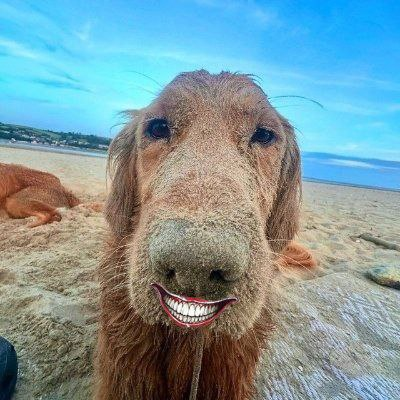 MargitD46398's tweet photo. @JakeGagain neither do we $marmsy 🚀🚀🚀 https://t.co/CjUv2NUjga