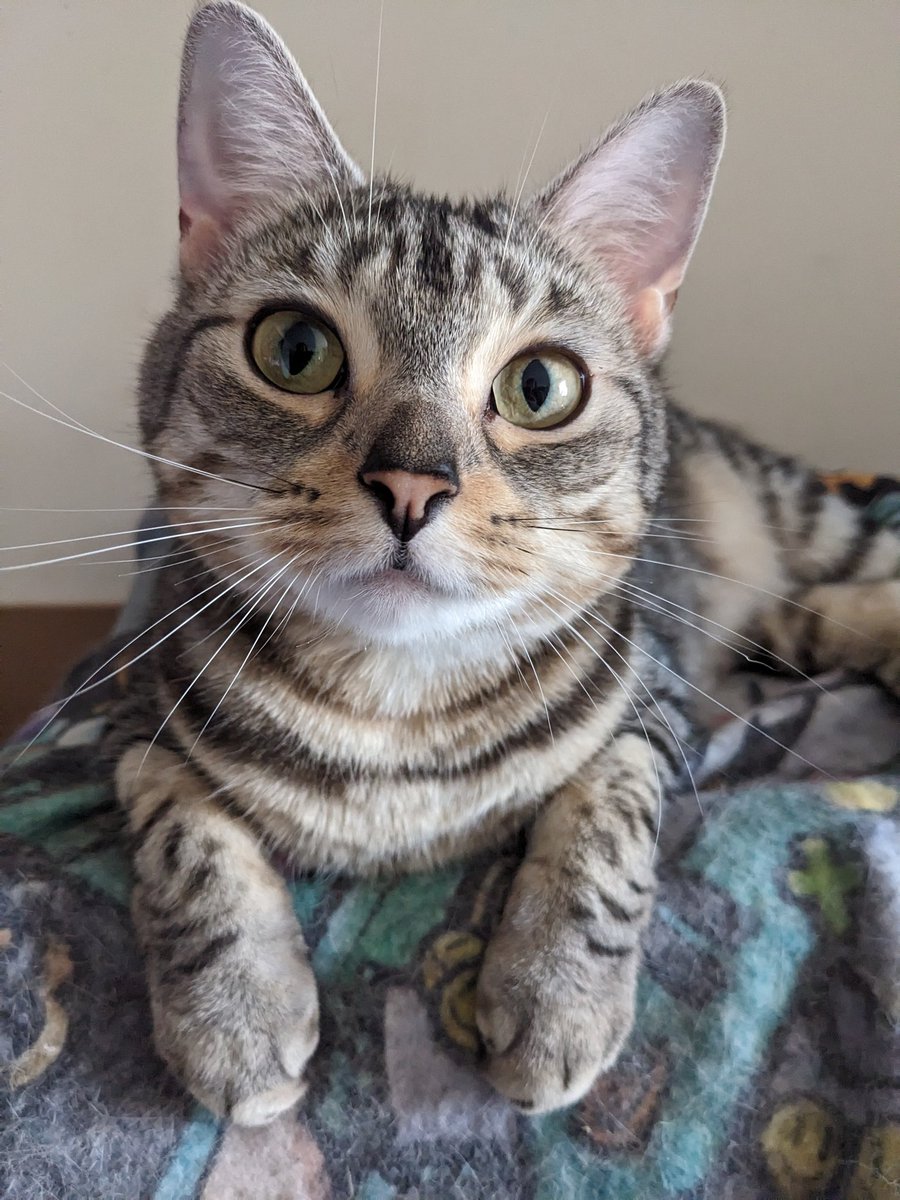 Look at this little cutie :3