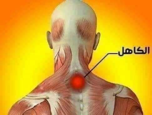 x3li9's tweet photo. إعجاز نبوي حدد مكانه رسولنا الكريم ﷺ في اجسادنا وأخبرنا عن منطقة الكاهل التي تعالج 70 داء ومرض وكيفية علاجها بالطب النبوي
بسرده لكم بالتفصيل أسفل التغريدة 
فضلها وتابع معي 🤍🤍 https://t.co/NDYTnq5ui6