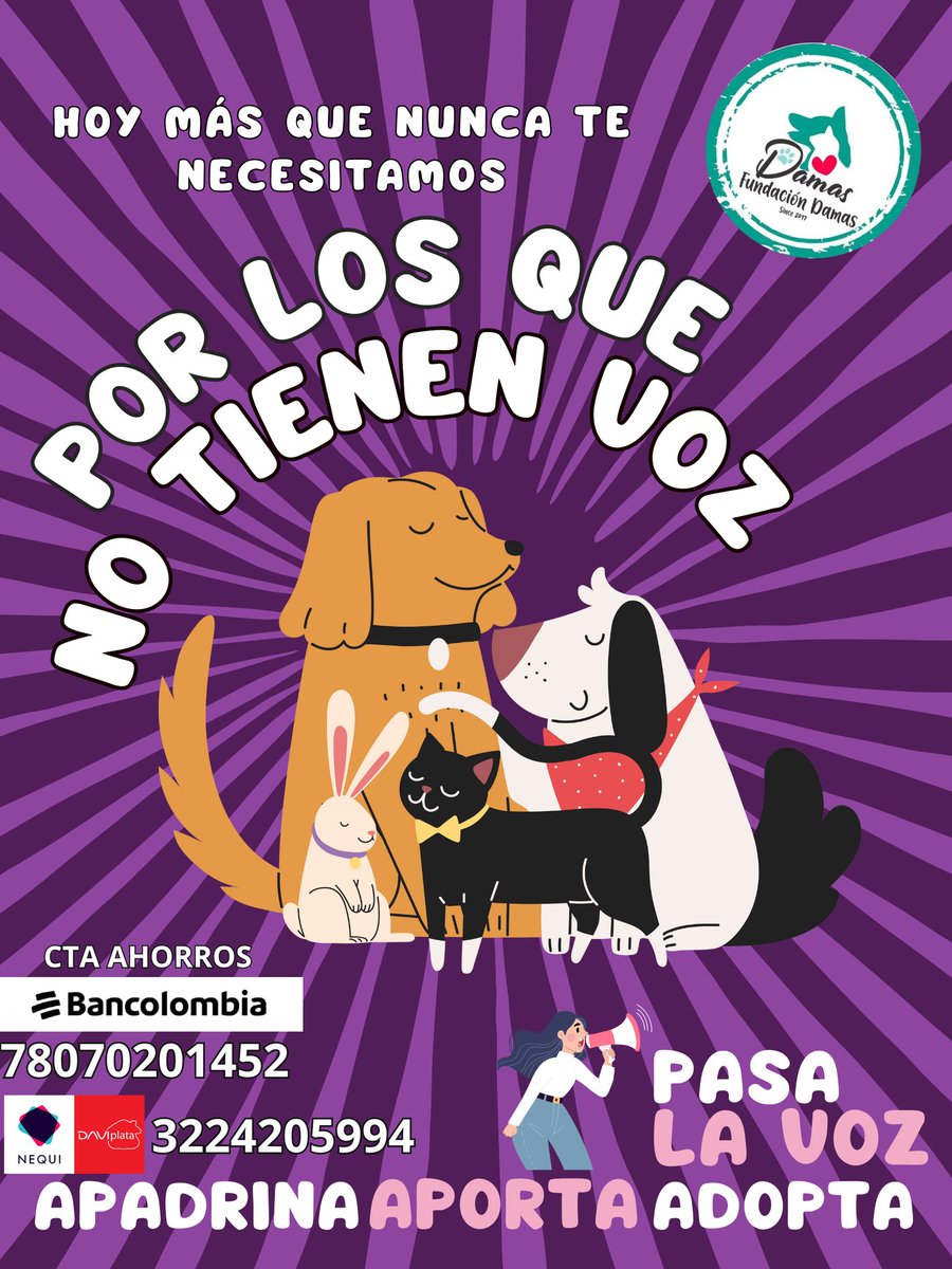 luftwavedxkli's tweet photo. No tenemos más tiempo! 
Necesitamos tú apoyo!
#URGENTE #COMPARTE
@FndDamascol necesita comida de perro y gato, medicamentos veterinarios, implementos de aseo. No contamos con recursos para los gastos de arriendo del refugio! 
Puedes APADRINAR, puedes DONAR! Puedes ADOPTAR 🐱🐶🆘 https://t.co/WPEZGtuV0R
