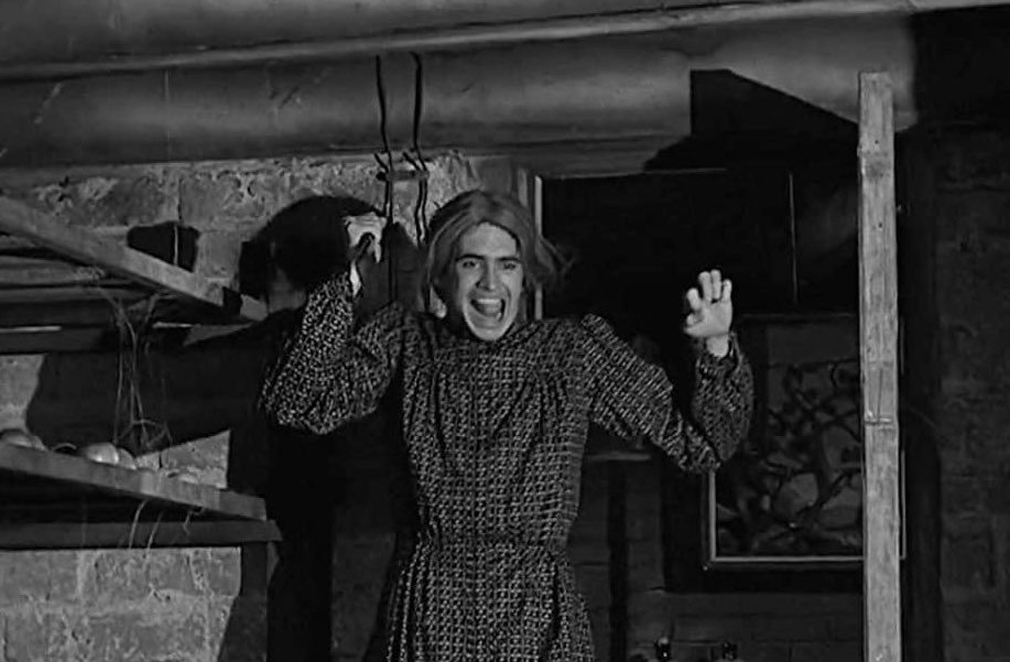 Las tradwife norteamericanas promedio