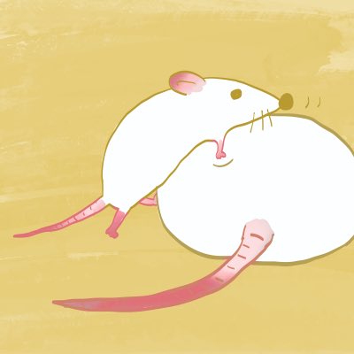 お昼寝していようと容赦はしない仔もにまう