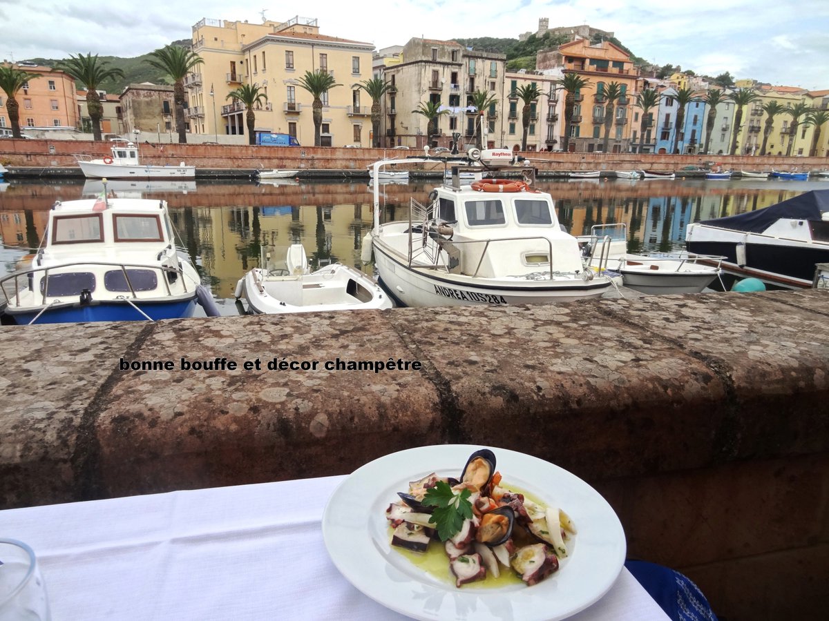 SylvieChastella's tweet image. Challenge photo a day  2024 - 1 août  (Bosa, Sardaigne)
On my plate  #fmspad