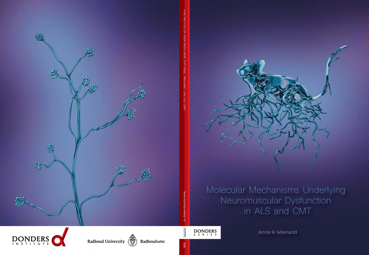 AElegansDesign's tweet image. Thesis cover illustration #ALS #CMT #donders